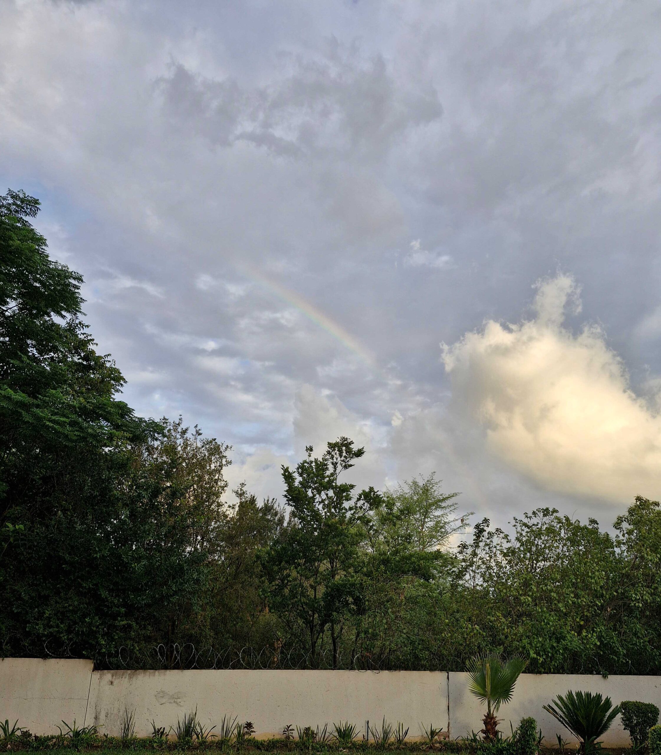 robynwrites rainbow skies